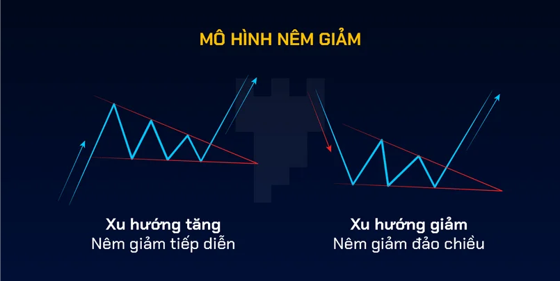 Mô hình nêm giảm