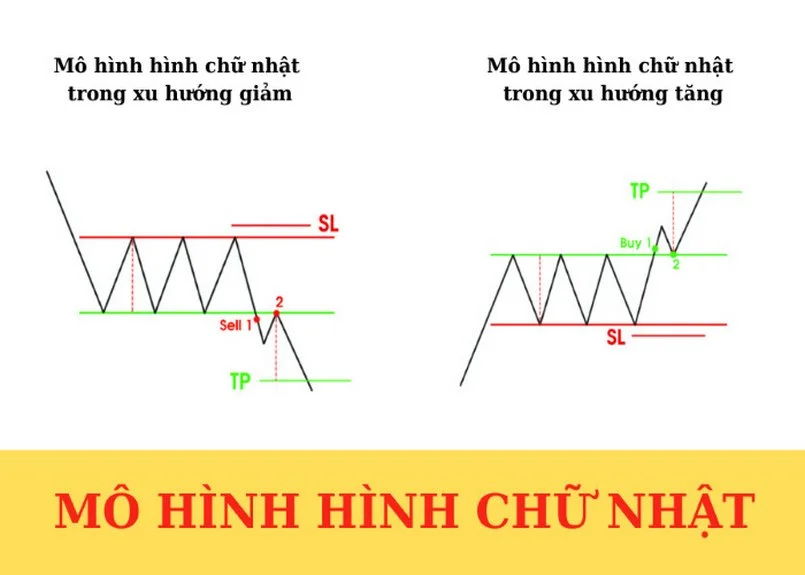 Mô hình hình chữ nhật